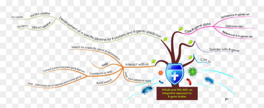 R Genes Plants, HD Png Download - gene png