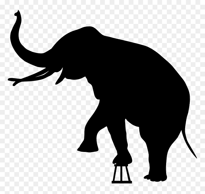Circus Elephant Silhouette, HD Png Download - circus elephant png