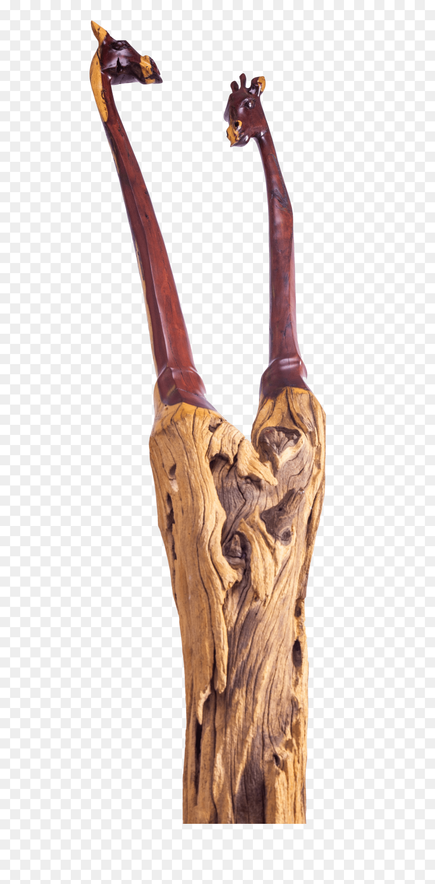 Driftwood, HD Png Download - skeleton arm png