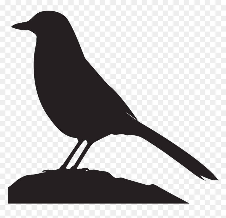Vector Freeuse Download Silhouette At Getdrawings Com - Jay Bird Silhouette, HD Png Download - graveyard silhouette png