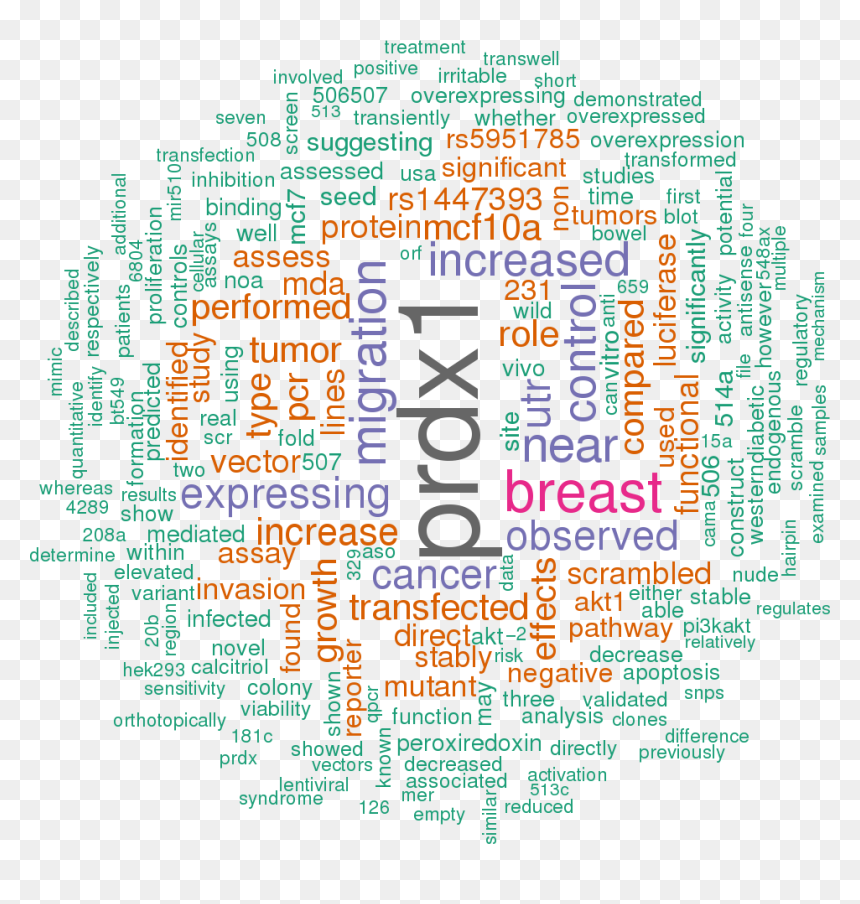 Word Cloud Of World Cup Png , Png Download - Hsa Let 7a 3p 5p 3 Utr, Transparent Png - world cup png