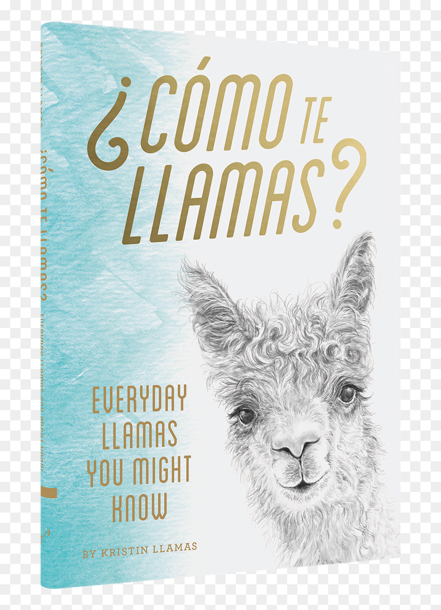 Llamas Book Cover Kristin Llamas Como Te Llamas - ¿como Te Llamas? Everyday Llamas You Might Know, HD Png Download - llamas png