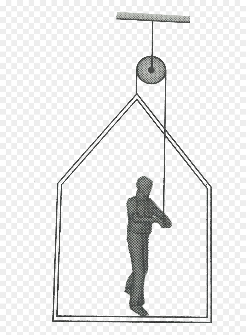 Standing, HD Png Download - rope frame png