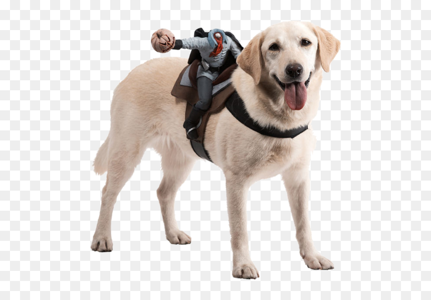 Dog Halloween Costumes, HD Png Download - headless horseman png