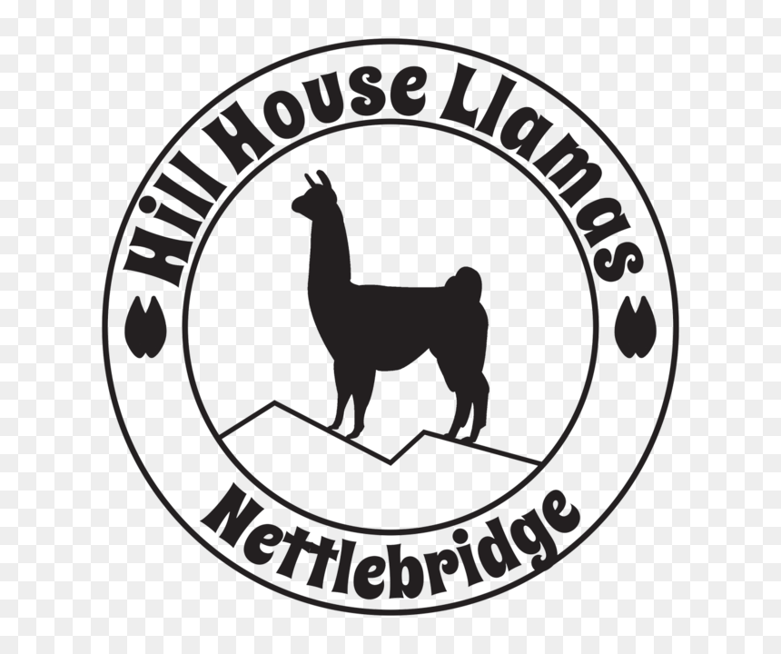 Hill House Llamas - Llama, HD Png Download - llamas png