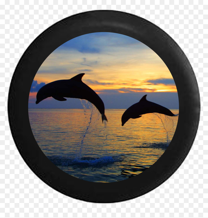 Two Dolphins Jumping Sunset Sunrise Behind Sky Rv Camper - Beach With Dolphins, HD Png Download - sunset sky png