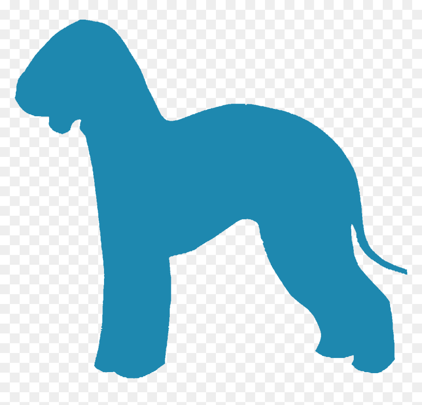 Bedlington Terrier - Companion Dog, HD Png Download - dachshund silhouette png