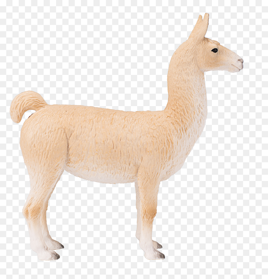 Deer, HD Png Download - llamas png