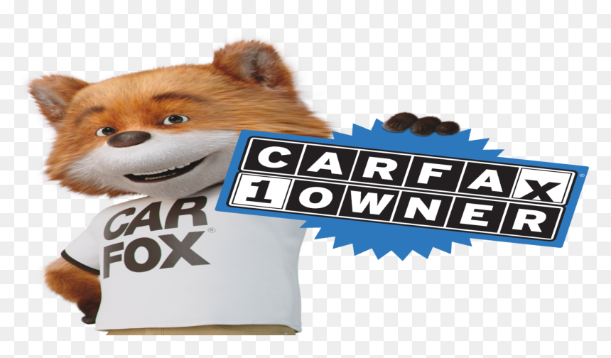 German Spitz Klein, HD Png Download - carfax png
