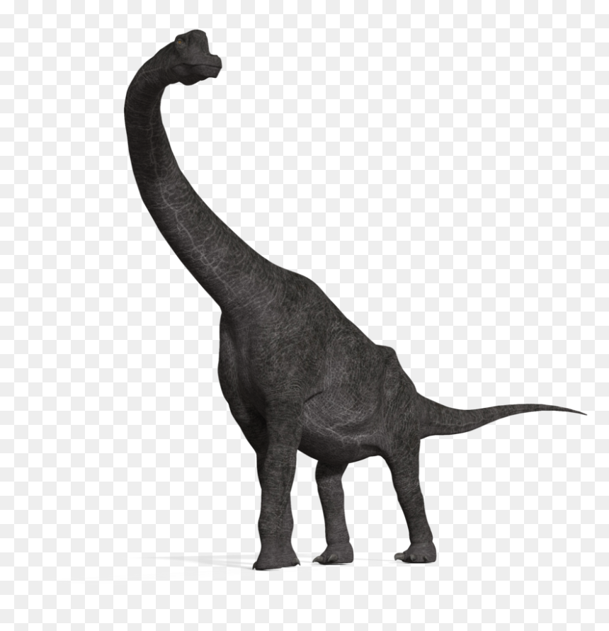 Thumb Image - Brachiosaurus Png, Transparent Png - brachiosaurus png