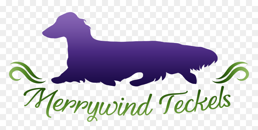 Companion Dog, HD Png Download - dachshund silhouette png