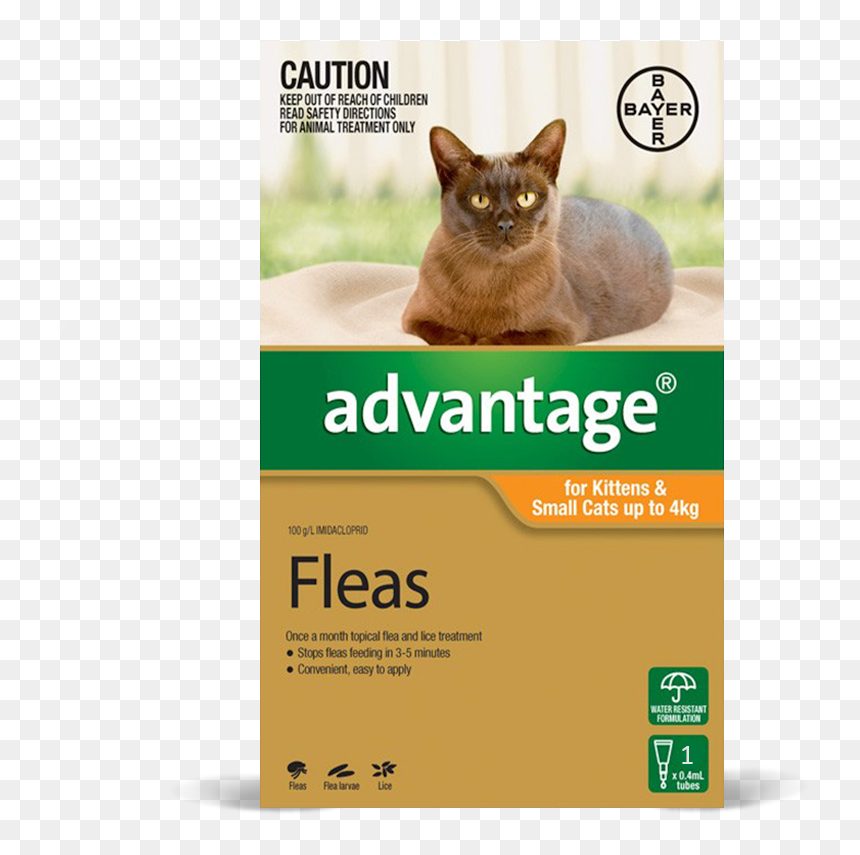 Main Product Photo - Advantage For Cats Under 4kg, HD Png Download - orange cat png