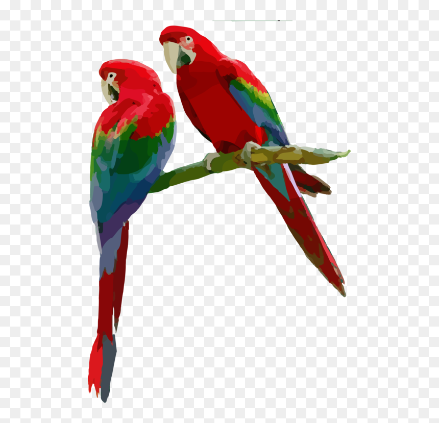 Macaw,parrot,budgie - Scarlet Macaw Transparent Background, HD Png Download - parakeet png