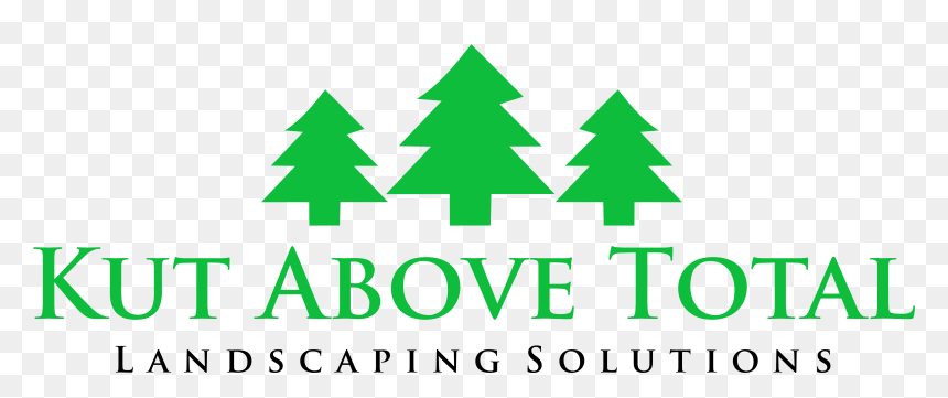 Kut Above Total - Christmas Tree, HD Png Download - customer satisfaction png