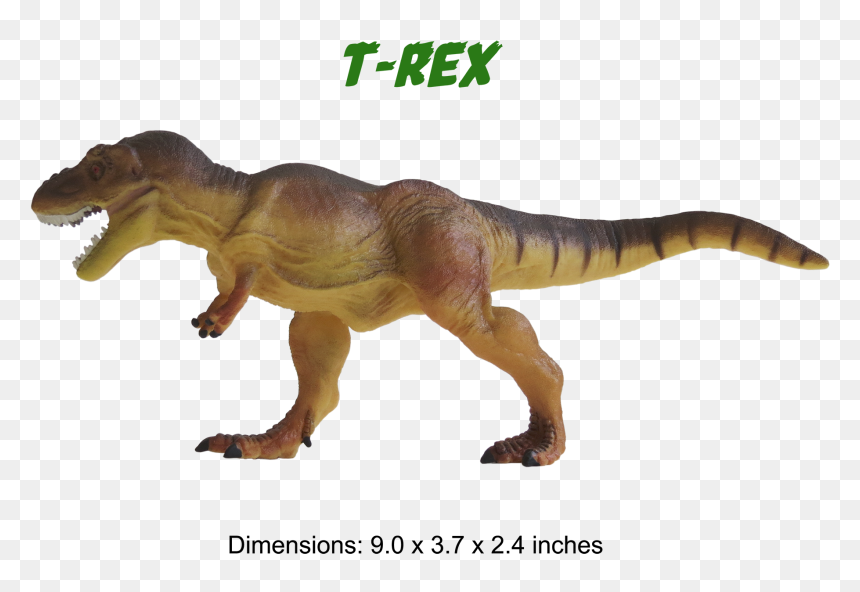 Ankylosaurus Model Triceratops Model T-rex Model Brachiosaurus - Tyrannosaurus, HD Png Download - brachiosaurus png