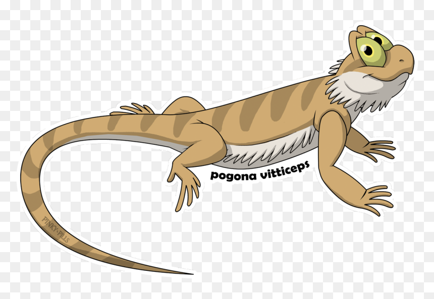 Transparent Bearded Dragon Png - Lizard, Png Download - bearded dragon png