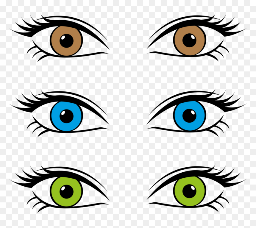 Line Art,head,eye - Eye Color Clipart, HD Png Download - eyes.png