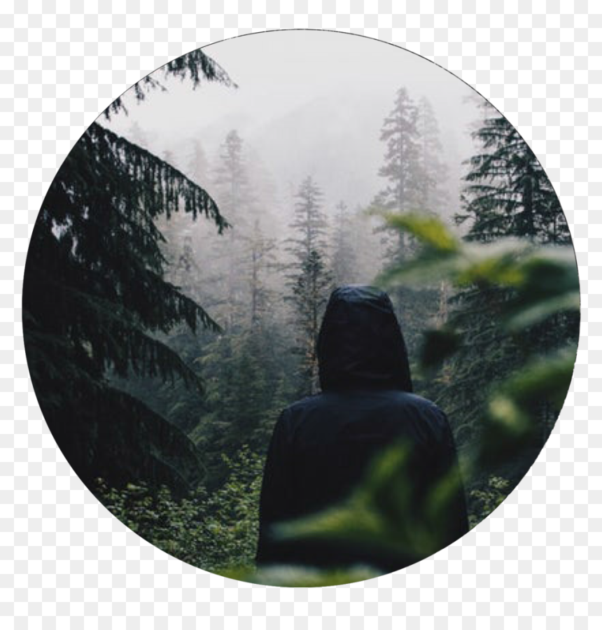 Fog - Quotes Of Allah Is Merciful, HD Png Download - fog.png