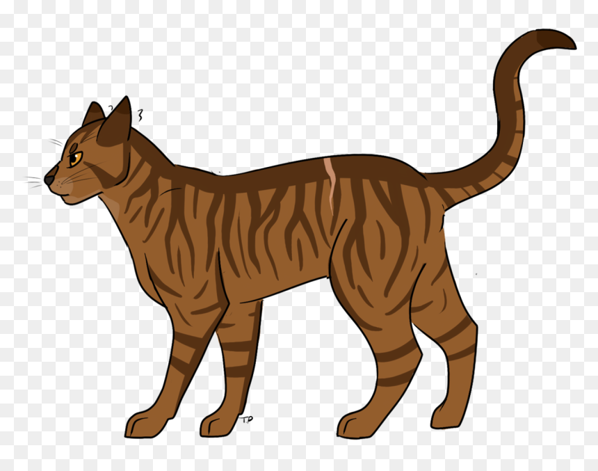 Transparent Cat Drawing Png - Warrior Cats Brackenfur, Png Download - cat drawing png