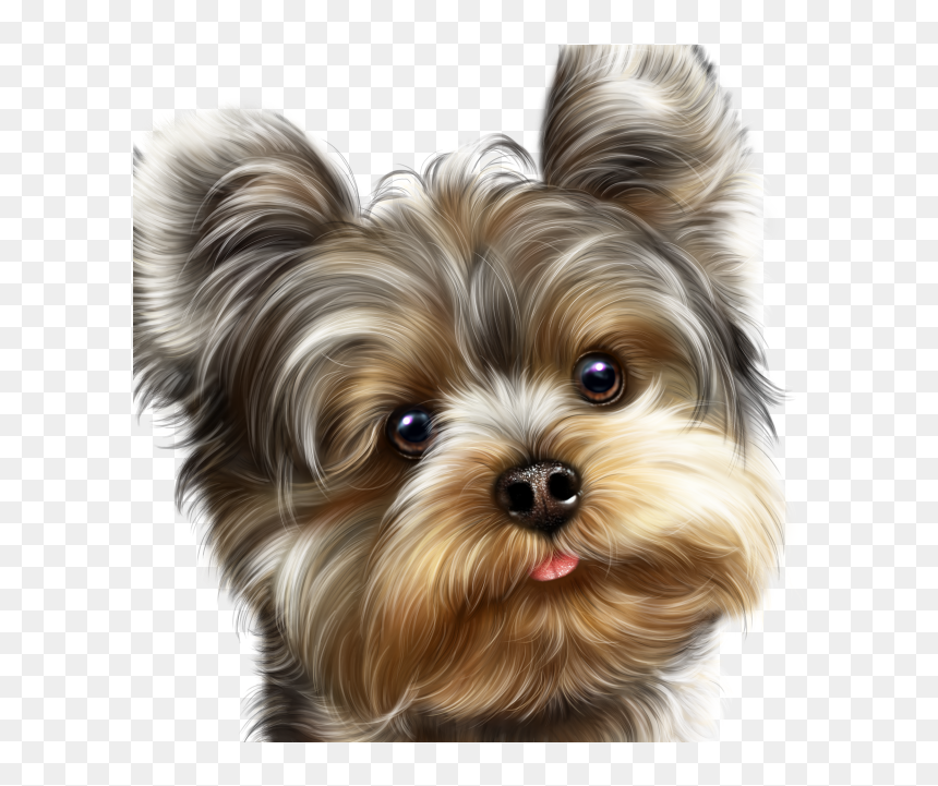 Fairy Yorkie And Butterflies - Yorkie Dog Png, Transparent Png - yorkie png