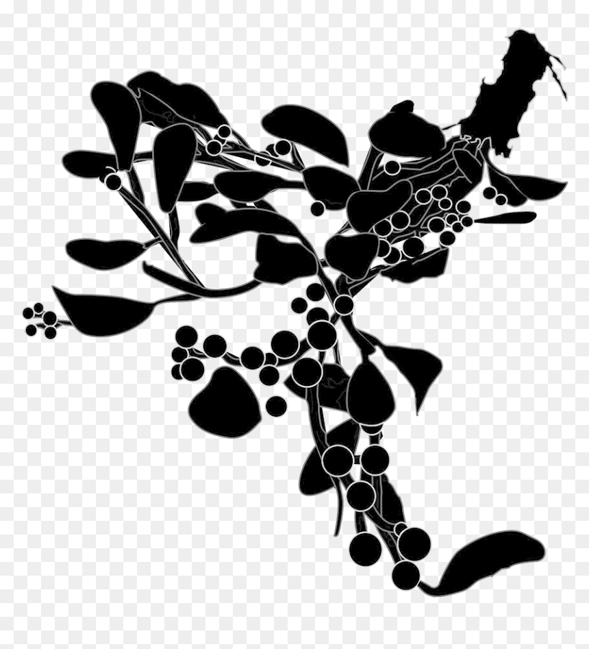 Mistletoe-silhouette - Missiletoe In Silhouette, HD Png Download - hanging mistletoe png