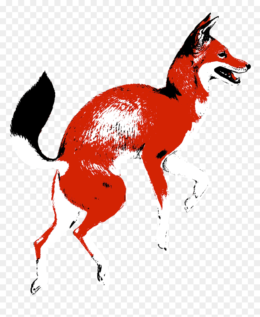 Red Fox - Red Fox Coffee Merchants Logo, HD Png Download - red fox png