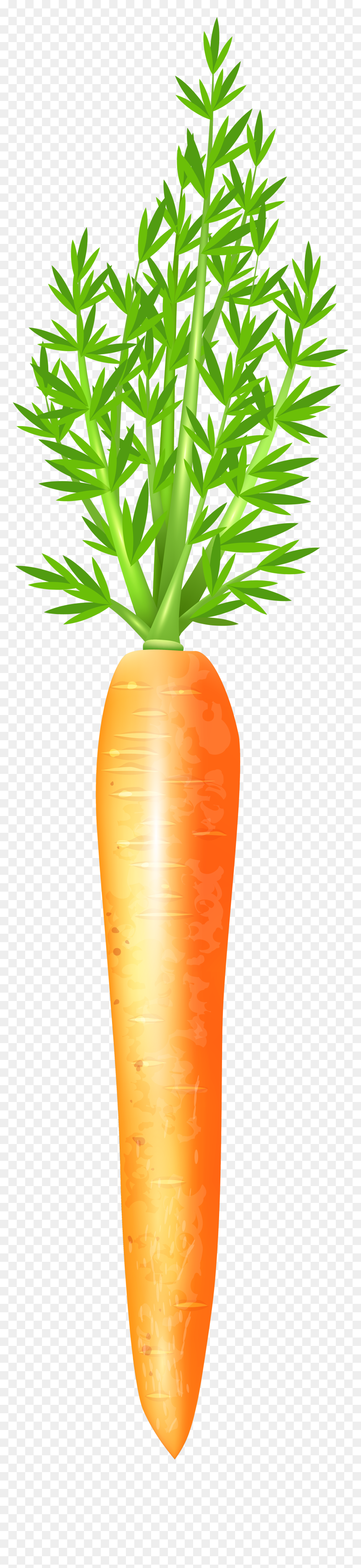 Carrots Clipart Png - سكرابز جزر, Transparent Png - carrot clipart png