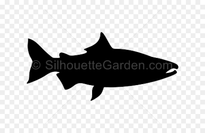 Salmon Clipart Knowledge - Maroc En Force Sisi, HD Png Download - walleye png