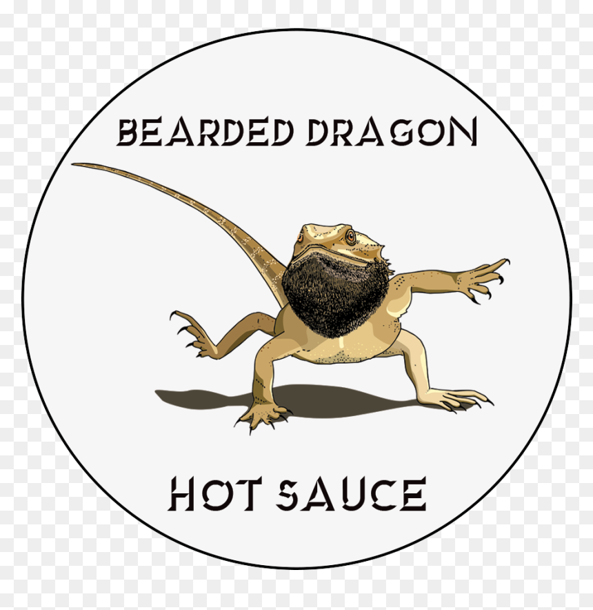 Cartoon, HD Png Download - bearded dragon png