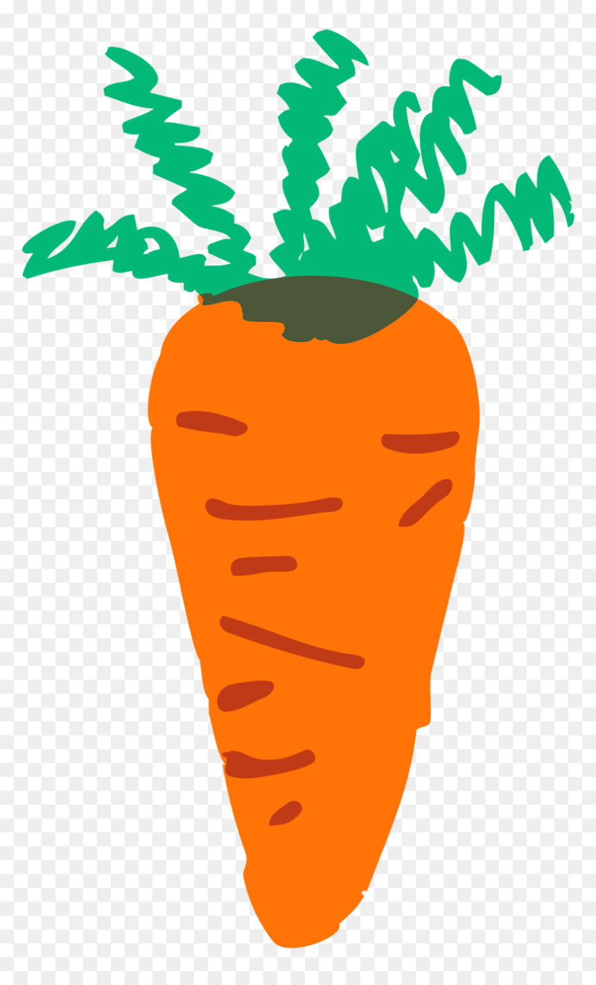 Animation Pictures Of Carrot - Carrot Clip Art, HD Png Download - carrot clipart png