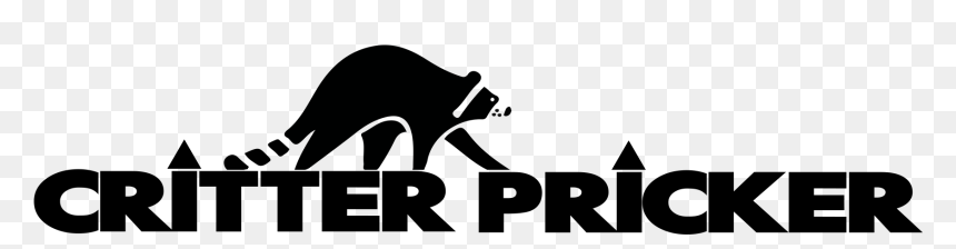 Amazon Arrow Png , Png Download - Raccoon Illustration, Transparent Png - amazon arrow png