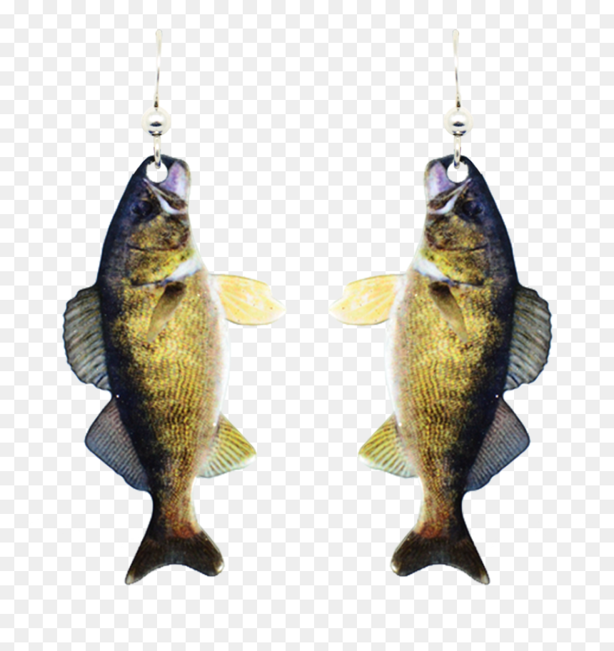 D"ears Women"s Fish Earrings - Earrings, HD Png Download - walleye png