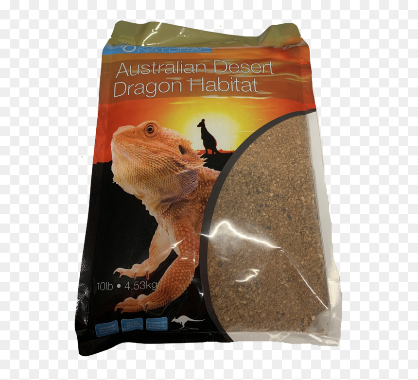 Australian Desert Dragon Bags Of Sand For Bearded Dragons, HD Png Download - bearded dragon png
