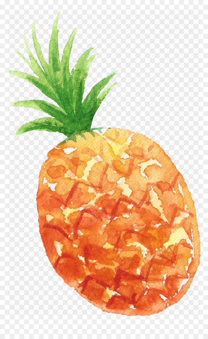 Cuisine, Food, Fruit, Fruits, Pineapple, Watercolor, - Fruits Water Color, HD Png Download - tumblr pineapple png