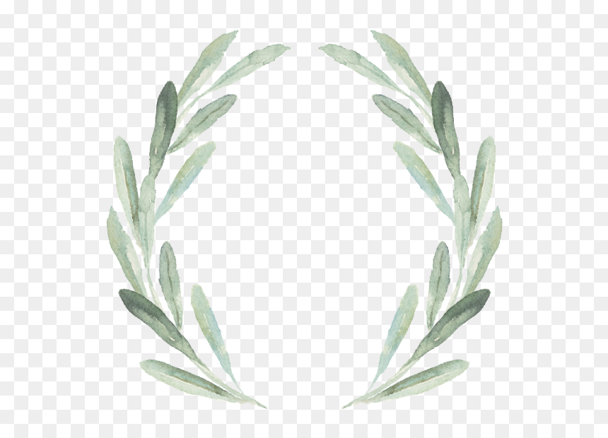 Olive Watercolor Wedding Invite, HD Png Download - olive branch vector png
