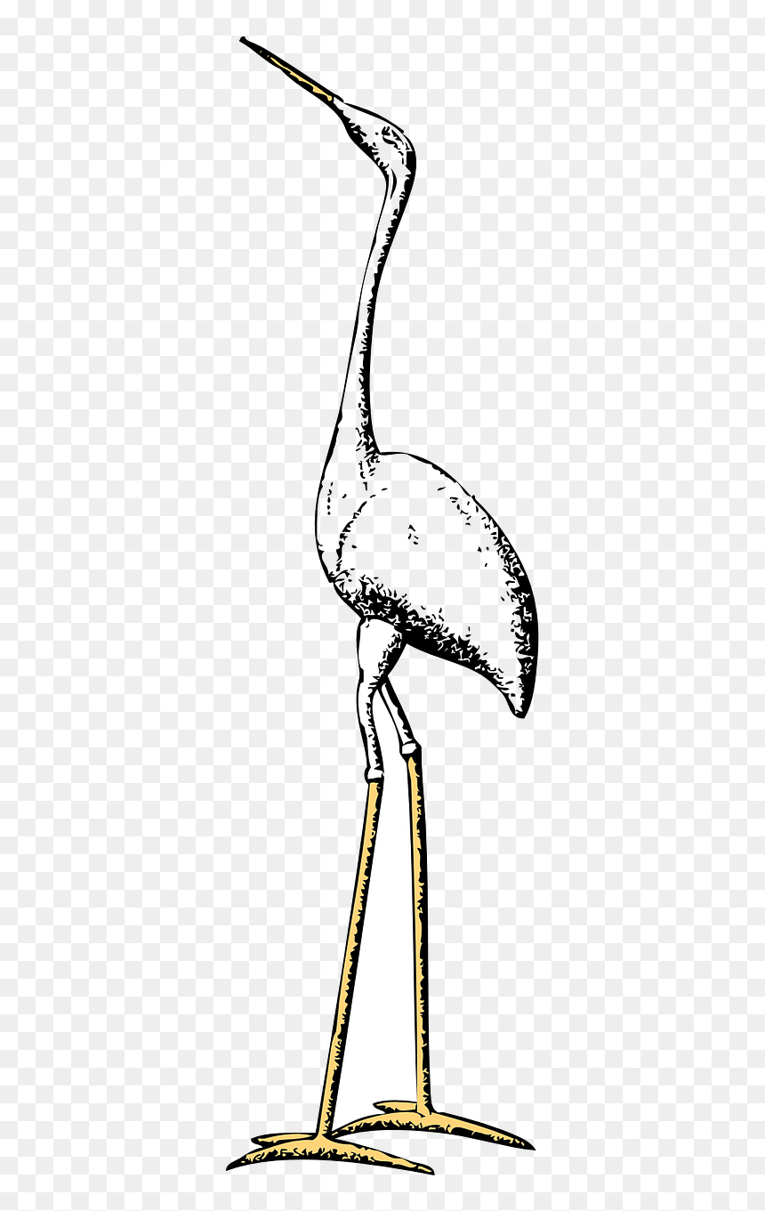 Stork, HD Png Download - crane bird png
