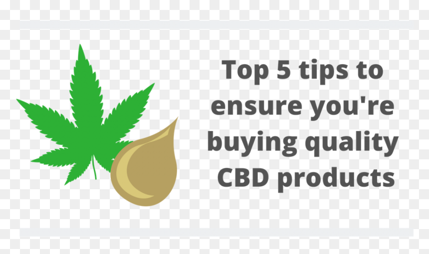 Ms-uk Blog Banners - Canada Flag, HD Png Download - hemp leaf png