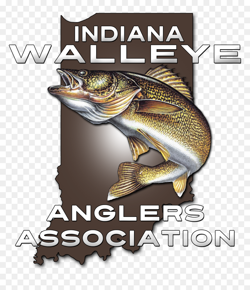 Poster, HD Png Download - walleye png