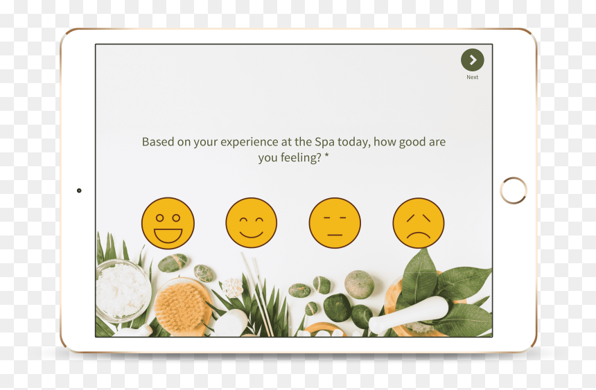 Grass, HD Png Download - customer satisfaction png