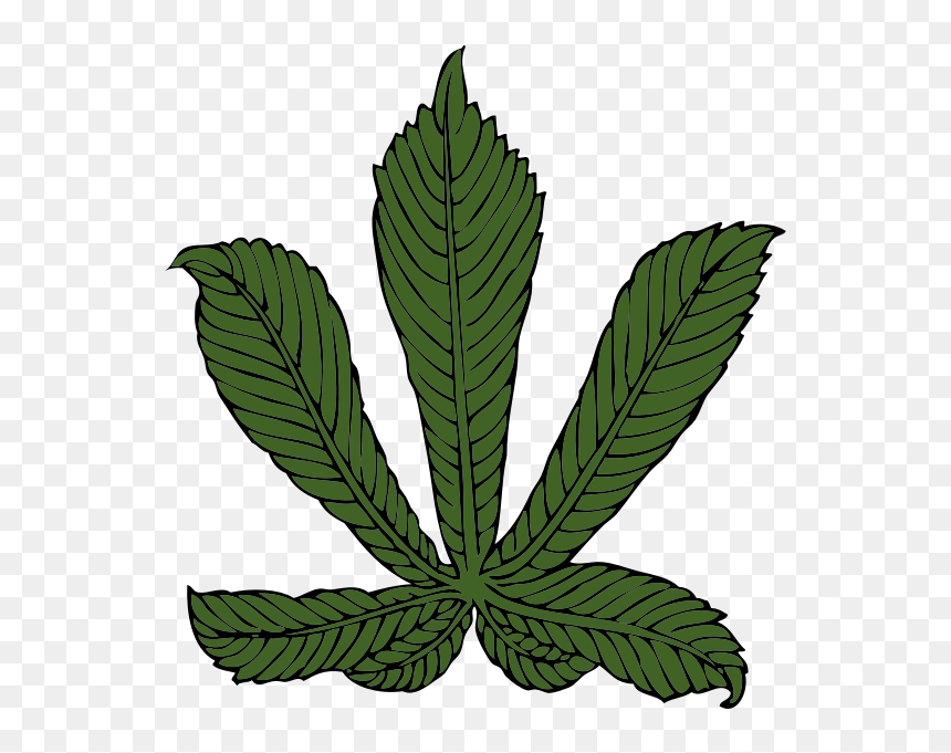 Horse Chestnut Leaf, HD Png Download - hemp leaf png