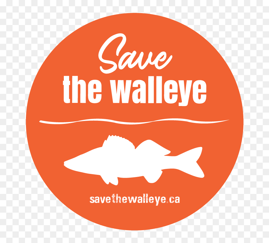 Circle, HD Png Download - walleye png