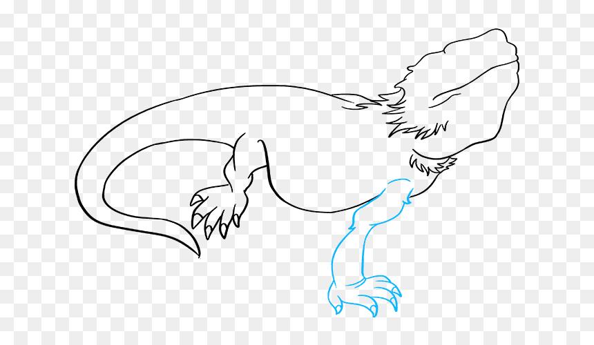 How To Draw Bearded Dragon Lizard - Bearded Dragon Drawing Step By Step, HD Png Download - bearded dragon png