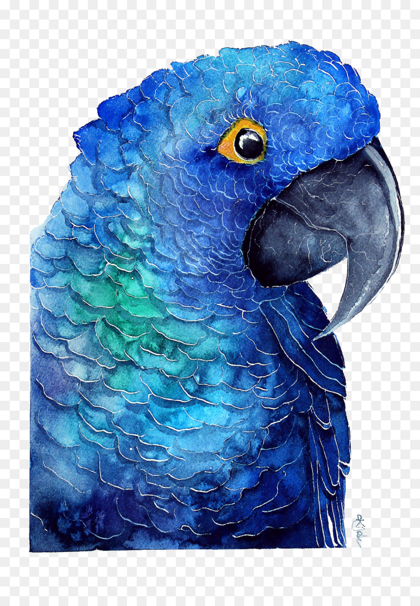 Blue Parrot Download Transparent Png Image - Water Color Green Parrot, Png Download - parakeet png