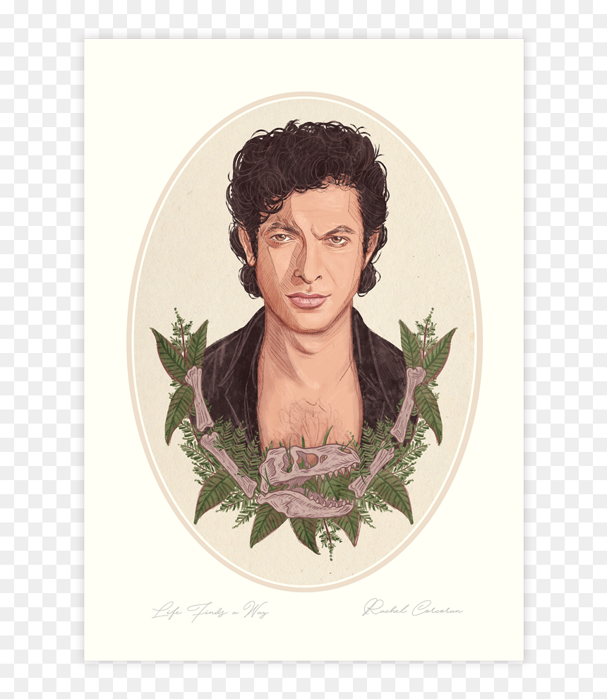 Jeff - Visual Arts, HD Png Download - jeff goldblum png