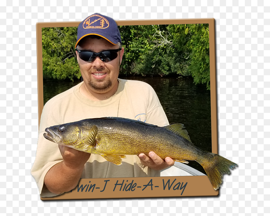 Touladi, HD Png Download - walleye png