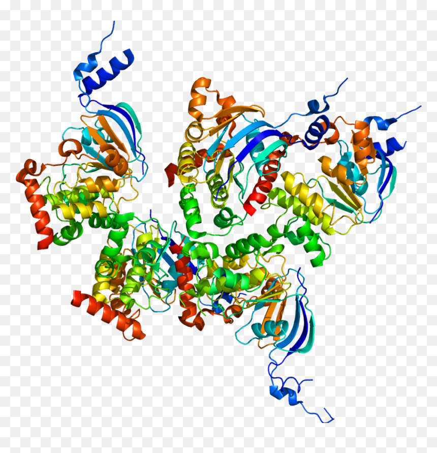 Protein Cftr Pdb 1xmi - Cystic Fibrosis Protein, HD Png Download - darkrai png