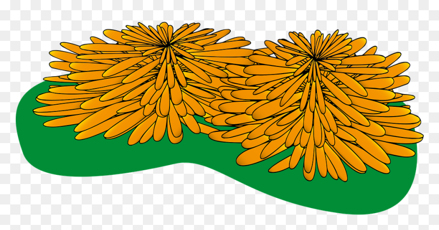 Clip Art, HD Png Download - dead rose png