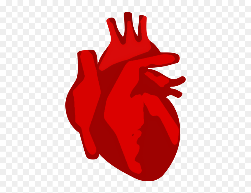 The Studio, We Love Web Design, Graphic Design, Photography, - Graphic Design Heart Logo, HD Png Download - heart design png