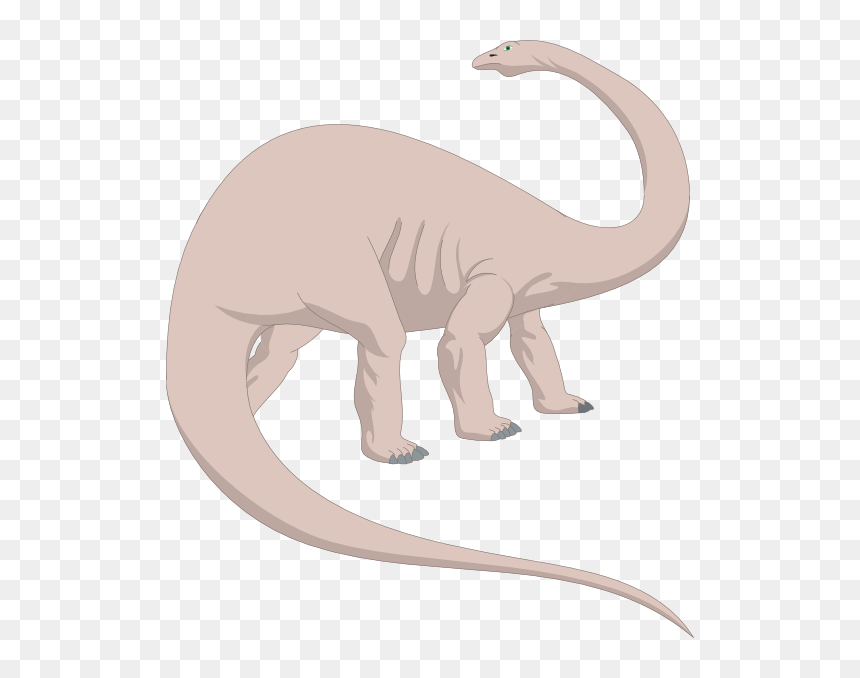 Brachiosaurus Looking Back, HD Png Download - brachiosaurus png