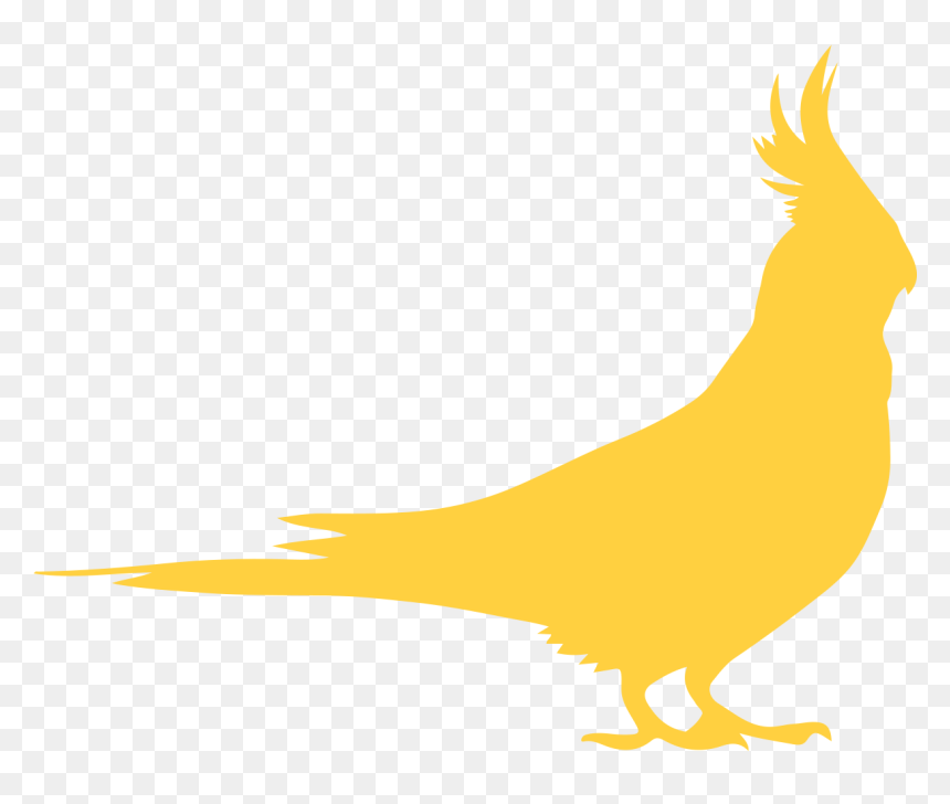 Parakeets » - Chicken, HD Png Download - parakeet png